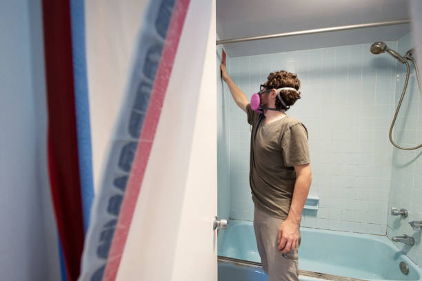 Best Attic Mold Removal  in Oak Island, NC